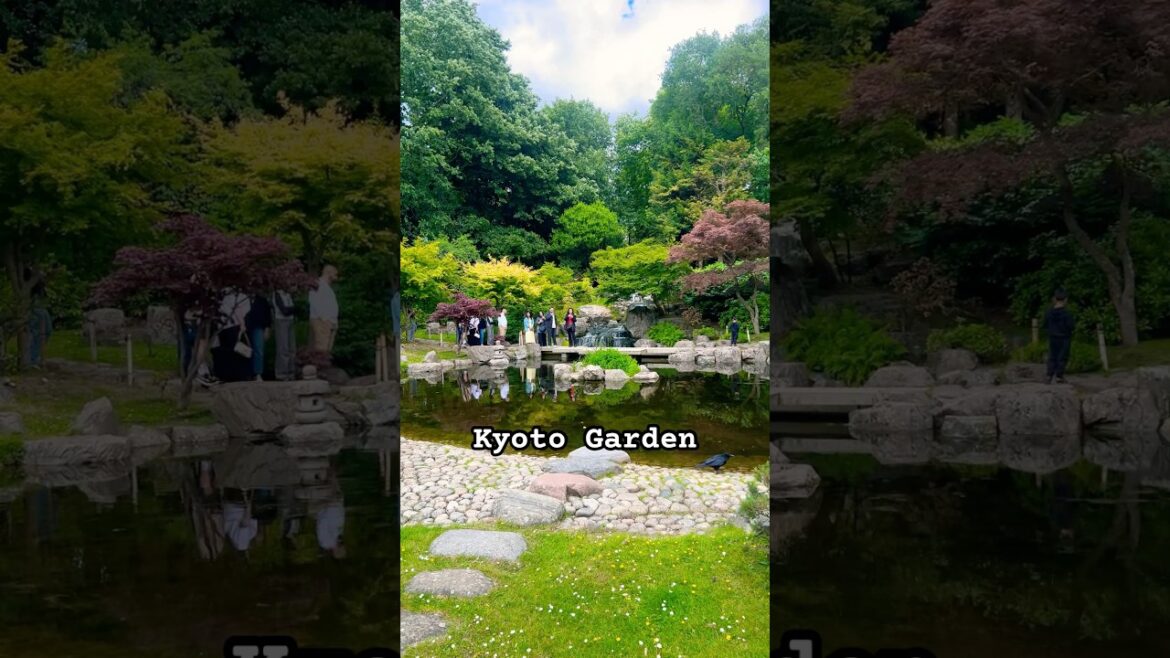 A Tranquil Japanese Garden in Holland Park London - Kyoto Garden #japan #nature #london #shorts