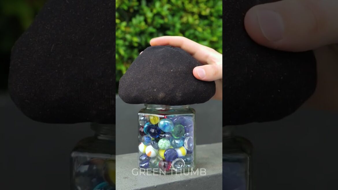 Genius Hack for Growing Herbs without a Garden 🌱