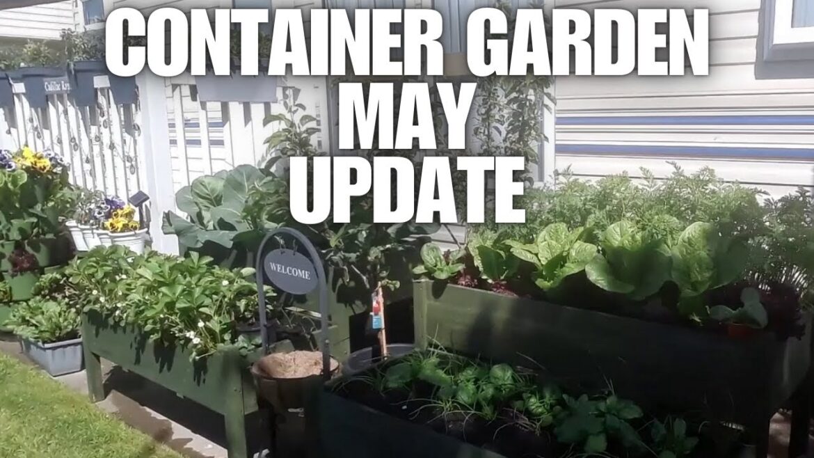 Container Gardening May Update [Container Gardening ]