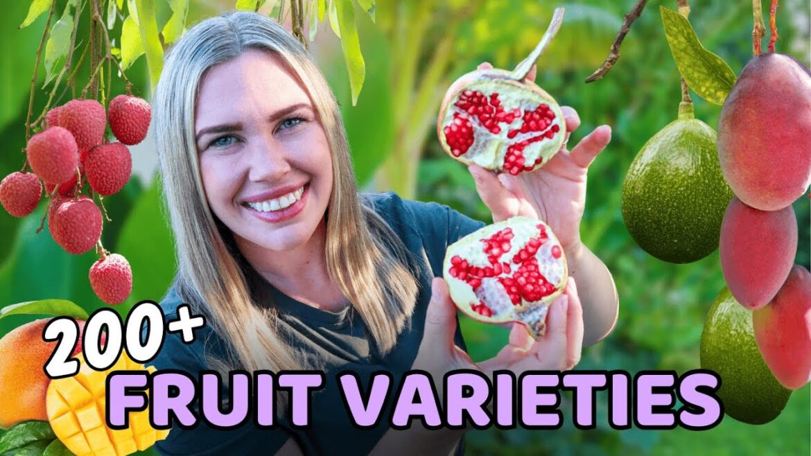 High-Density Edible Garden on 1/5 Acre | Autumn Food Forest Tour ๐ High-Density Edible Garden on 1/5 Acre | Autumn Food Forest Tour ๐