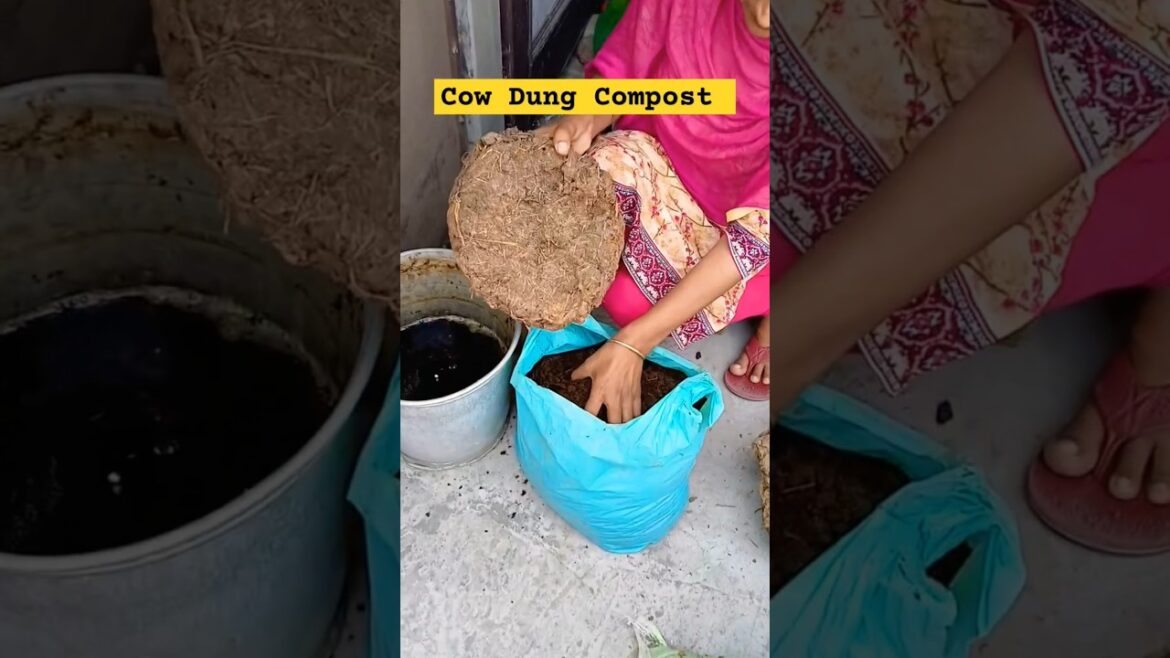 ਪਾਥੀਆ ਦੀ ਖਾਦ ਮਿੰਟਾ ਵਿੱਚ ਤਿਆਰ #cowdungcompost #tips #vegetables #shorts #yt  @OrganicGardening1918