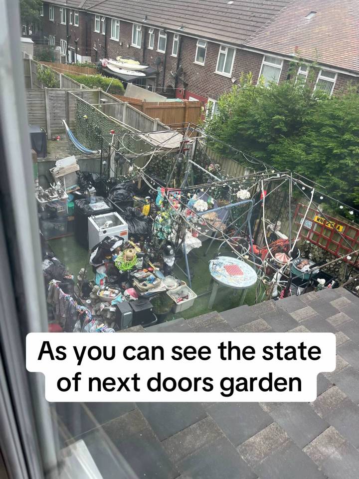 Overgrown and cluttered backyard.