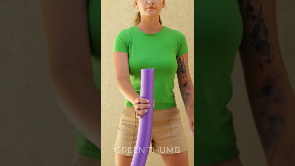 Interesting Gardening Tips with Pool Noodles 🌱 Interesting Gardening Tips with Pool Noodles 🌱