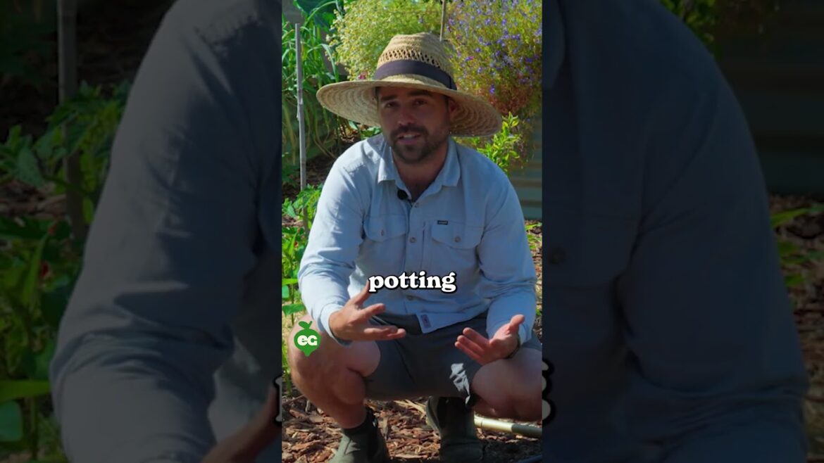 Here's how to start container gardening