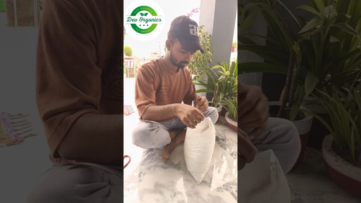 Vermi compost 👍 #garden #gardendecor #gardendesign #gardeningideas #plants #shorts