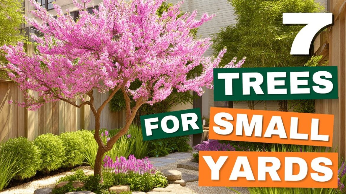Small Yard? Plant THESE 7 Gorgeous Ornamental Trees! 🌳