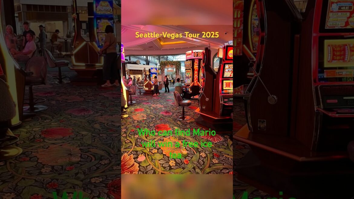 Seattle-Vegas Tour 2025 #seattle #travel #pikeplacemarket #japanesegarden #rainer #volcano