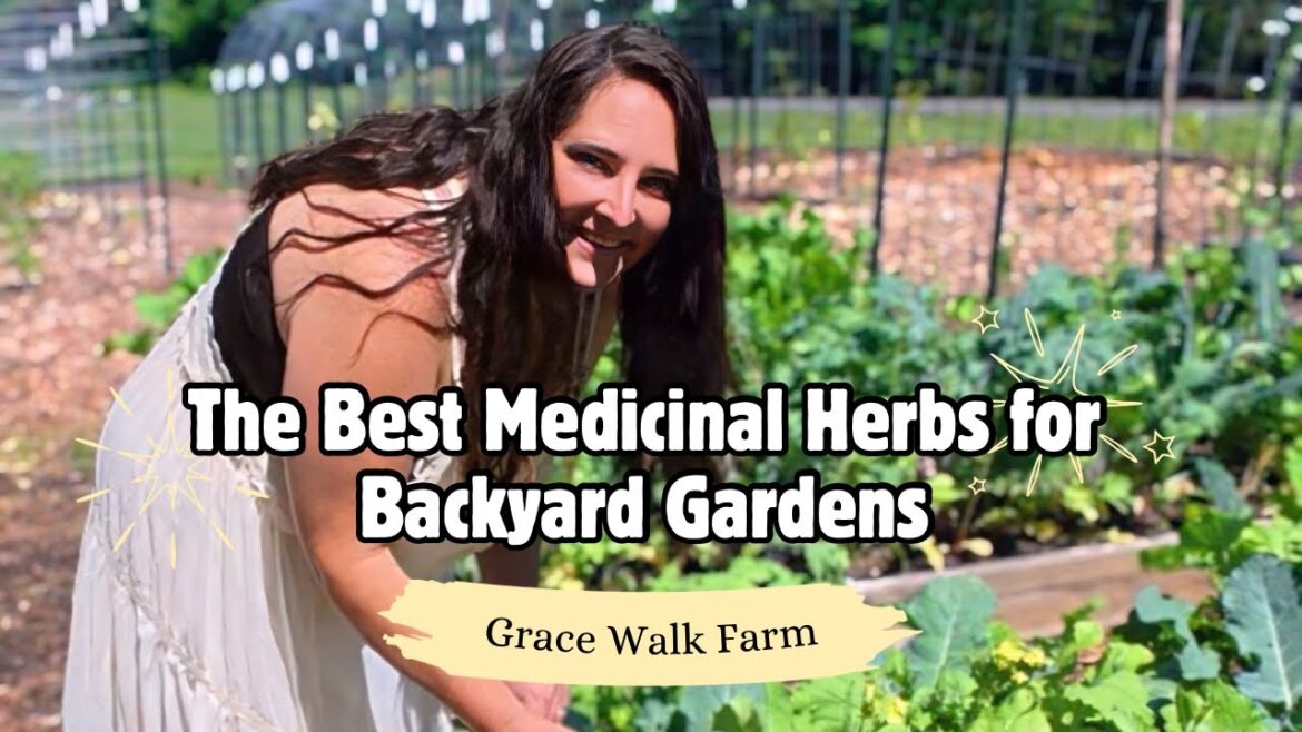 Grow These Medicinal Herbs In Your Backyard Garden: Must Have Herbs for Tea Gardens Grow These Medicinal Herbs In Your Backyard Garden: Must Have Herbs for Tea Gardens
