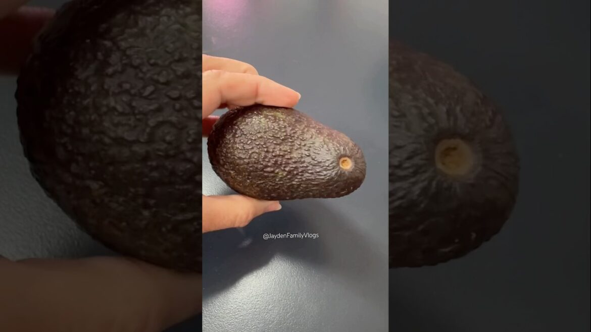 Fruit cutting Avocado 🥑  #shorts #satisfying #fruit #enjoy #garden