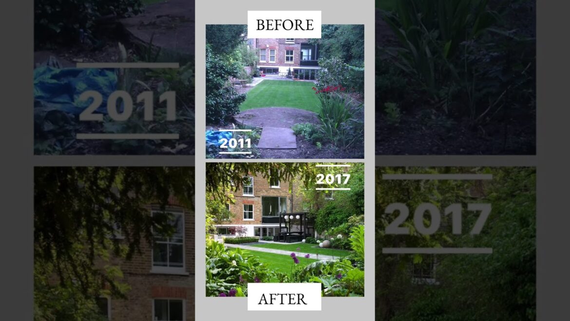 Modern Japanese Garden Design North London