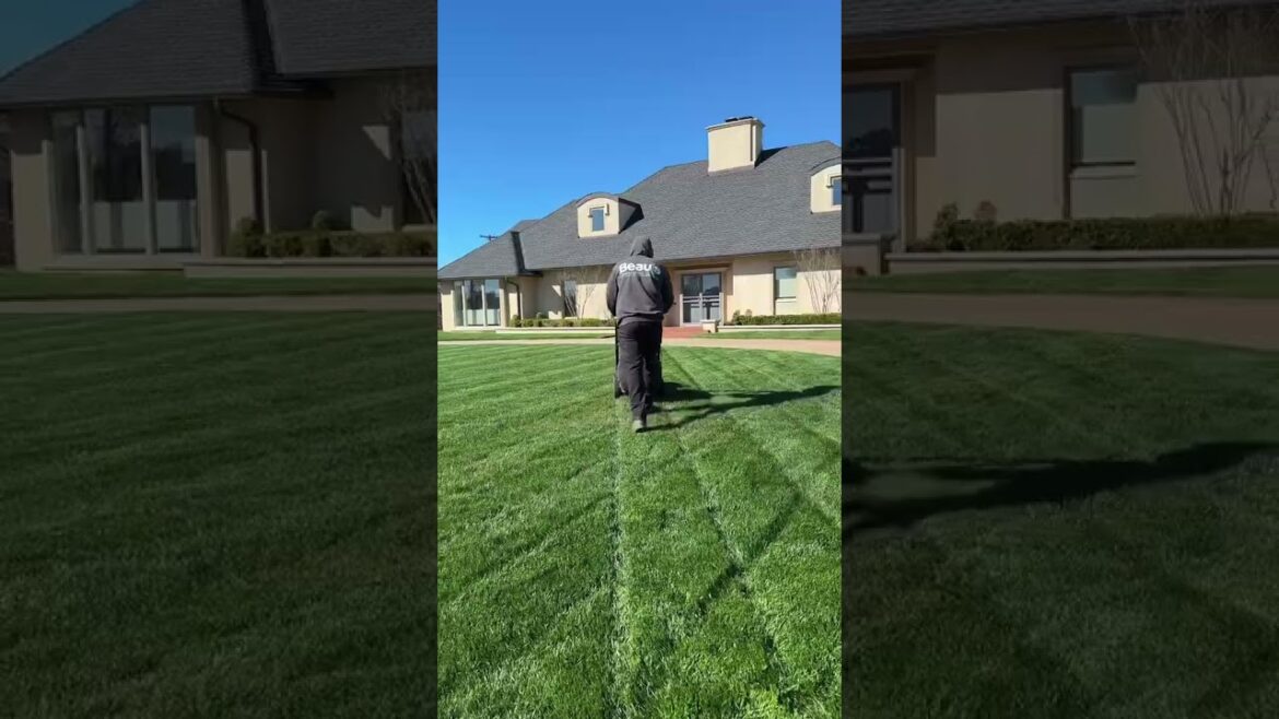 It doesn’t get greener than this #lawncare #green #landscaping #business