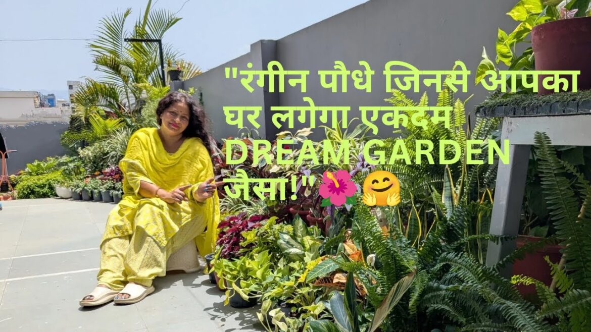 Top Colourfull Plants For Home Garden II "रंगीन पौधे जिनसे गार्डन लगेगा एकदम Dream Garden जैसा!✨"