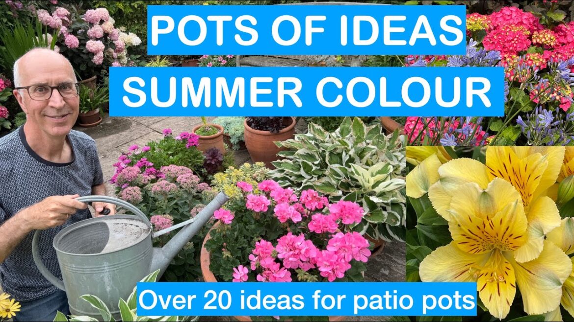 SUMMER COLOUR FOR POTS & PATIOS – COLOUR ALL SUMMER – OVER 20 EASY PLANTING RECIPES FOR CONTAINERS