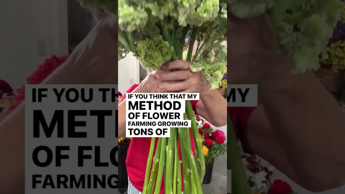 Head into spring as a confident flower farmer! Comment FAST TRACK and I’ll DM the link to enroll in Head into spring as a confident flower farmer! Comment FAST TRACK and I’ll DM the link to enroll in