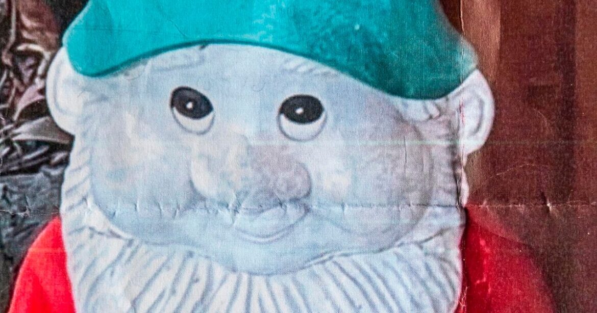 Gran who broke garden gnome’s leg hits out after police and court ordeal Ipso logo