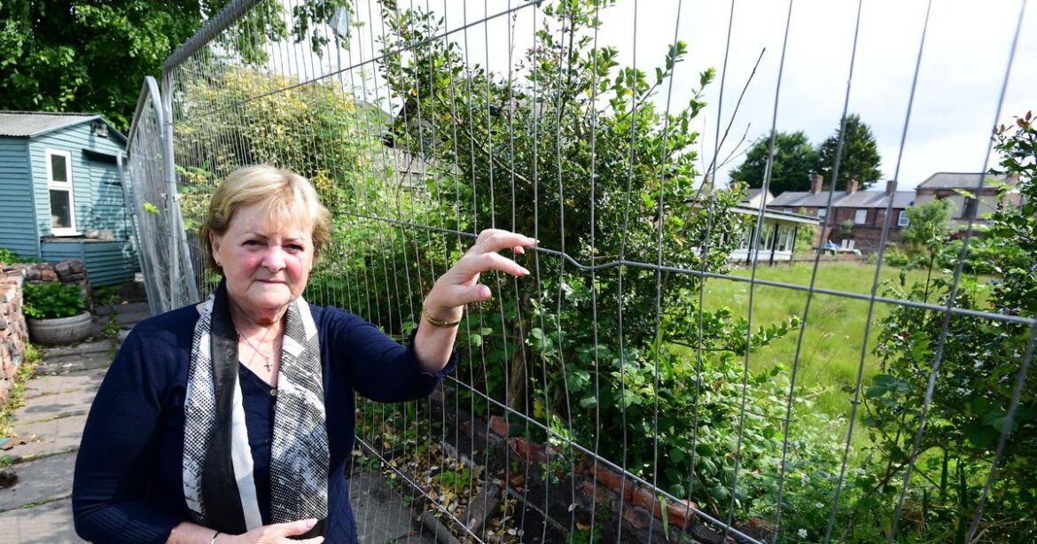 Woman came home and ‘couldn’t believe’ what she saw in her garden Ipso logo