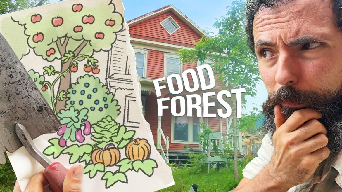 Siloé Oliveira: I turned my front yard into a FOOD FOREST in 1 year* I turned my front yard into a FOOD FOREST in 1 year*