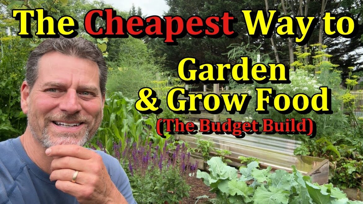 Gary Pilarchik: Building a Vegetable Garden on a Budget (Cheap, Easy, & Effective) Building a Vegetable Garden on a Budget (Cheap, Easy, & Effective)