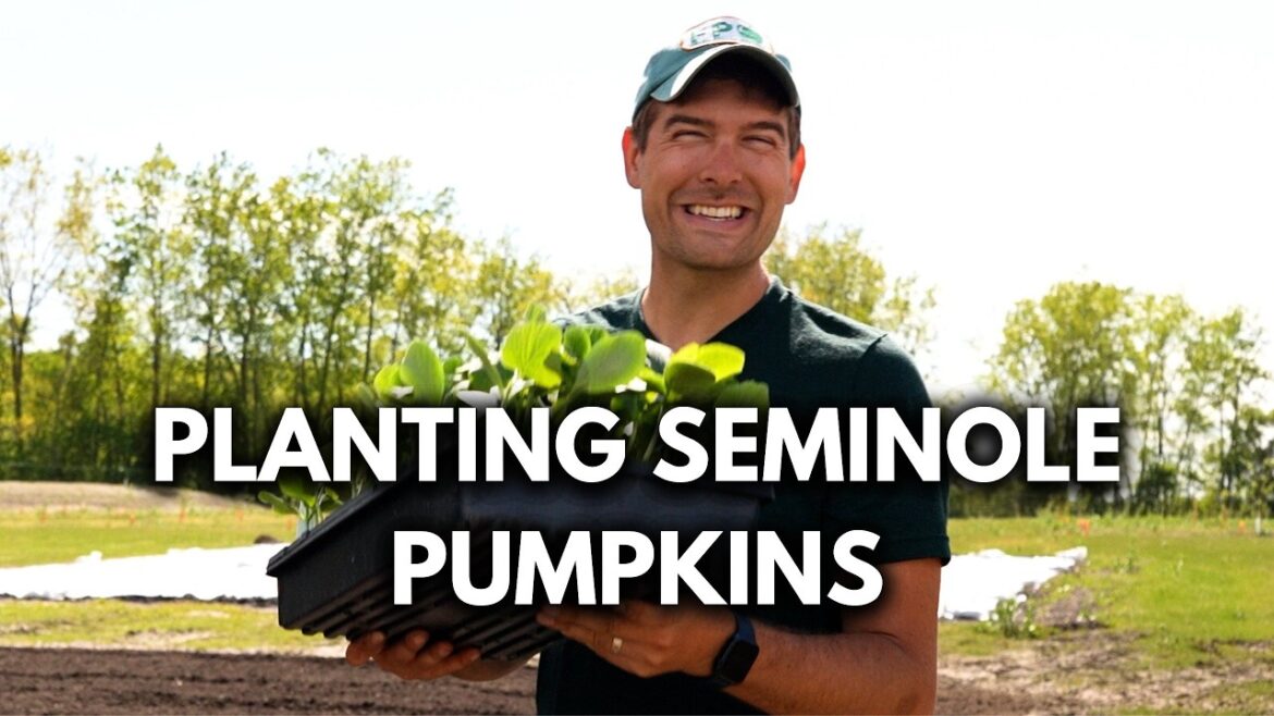 We Planted The Rarest ANCIENT Pumpkin to Save Seeds!