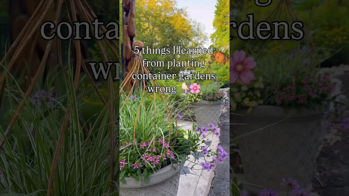 5 things I learned from planting container gardens wrong ๐ธ๐๐ป #containergardening #gardeningtips 5 things I learned from planting container gardens wrong ๐ธ๐๐ป #containergardening #gardeningtips