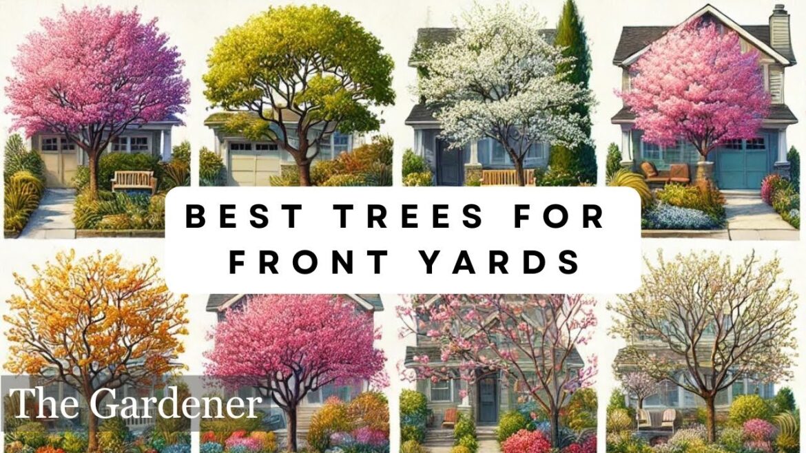 10 Best Small Trees for Year-Round Beauty in Your Front Yard 10 Best Small Trees for Year-Round Beauty in Your Front Yard
