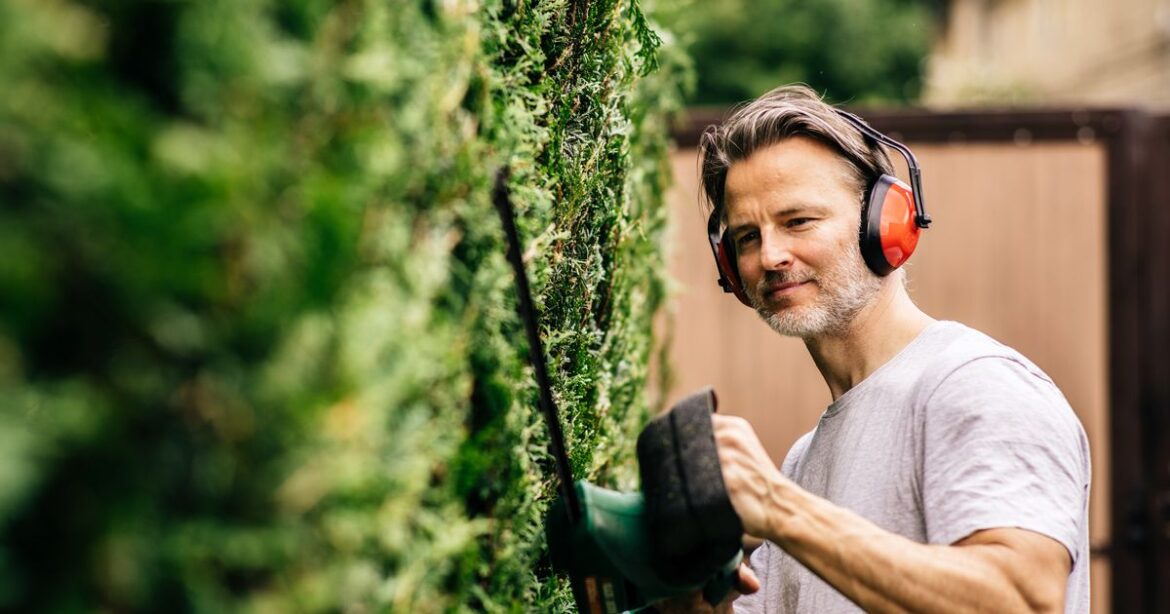 June warning to gardeners cutting their hedge this month Ipso logo