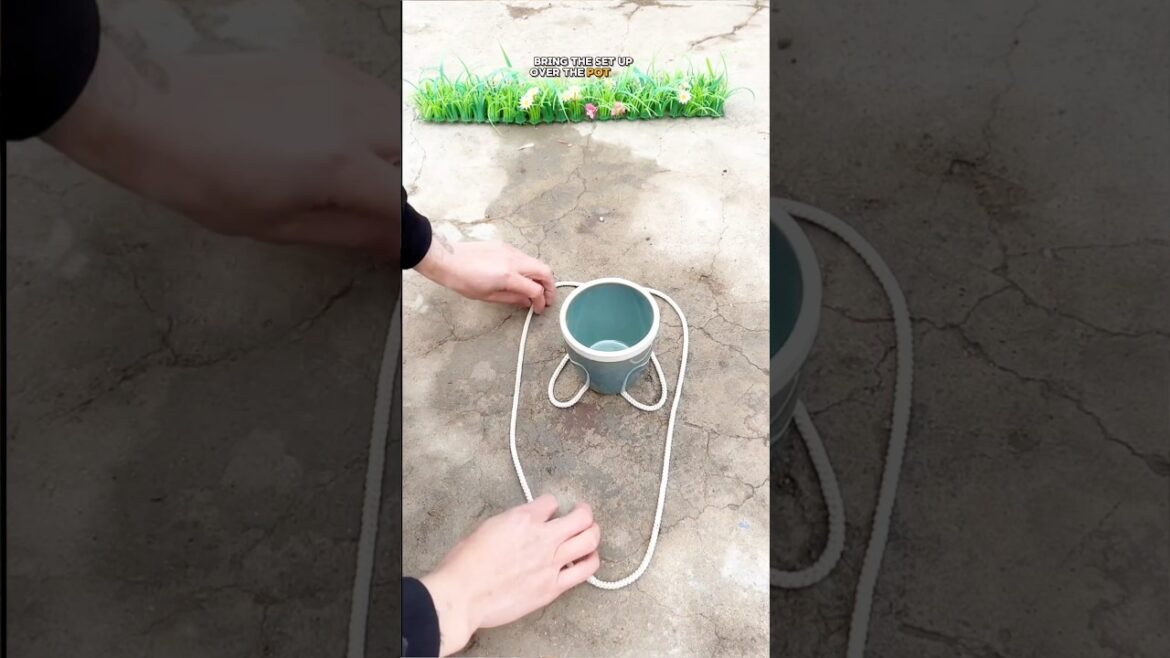 Hang a Pot Without Nails or Hooks! Unique Rope Trick #PlantLover #shorts