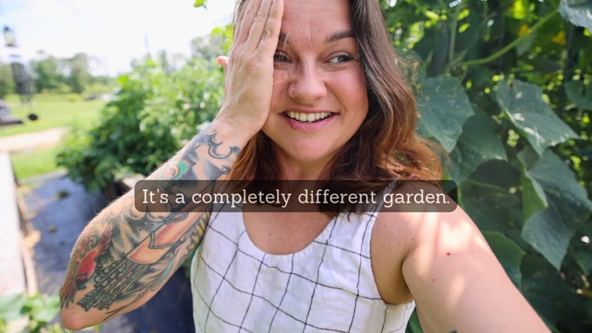 i came back to a different garden (the tank is empty) | VLOG