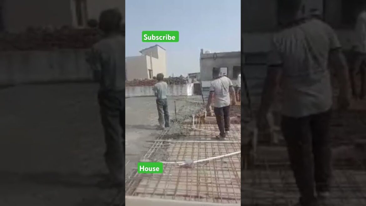 Secrets of Growing Potatoes: Insights from the #organicfarming #farming #lifeisbutadream #shortvideo Secrets of Growing Potatoes: Insights from the #organicfarming #farming #lifeisbutadream #shortvideo