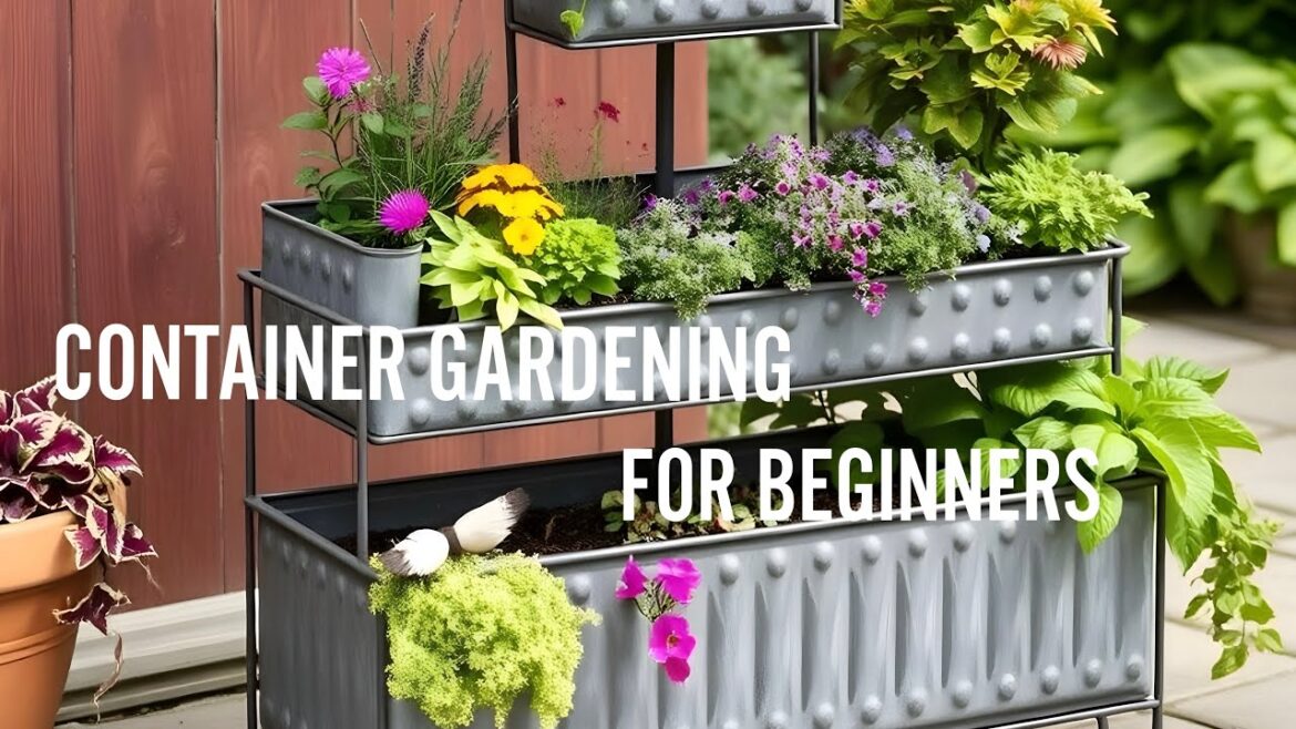 Container Gardening for Beginners 2025: Hidden 5 Easy Steps