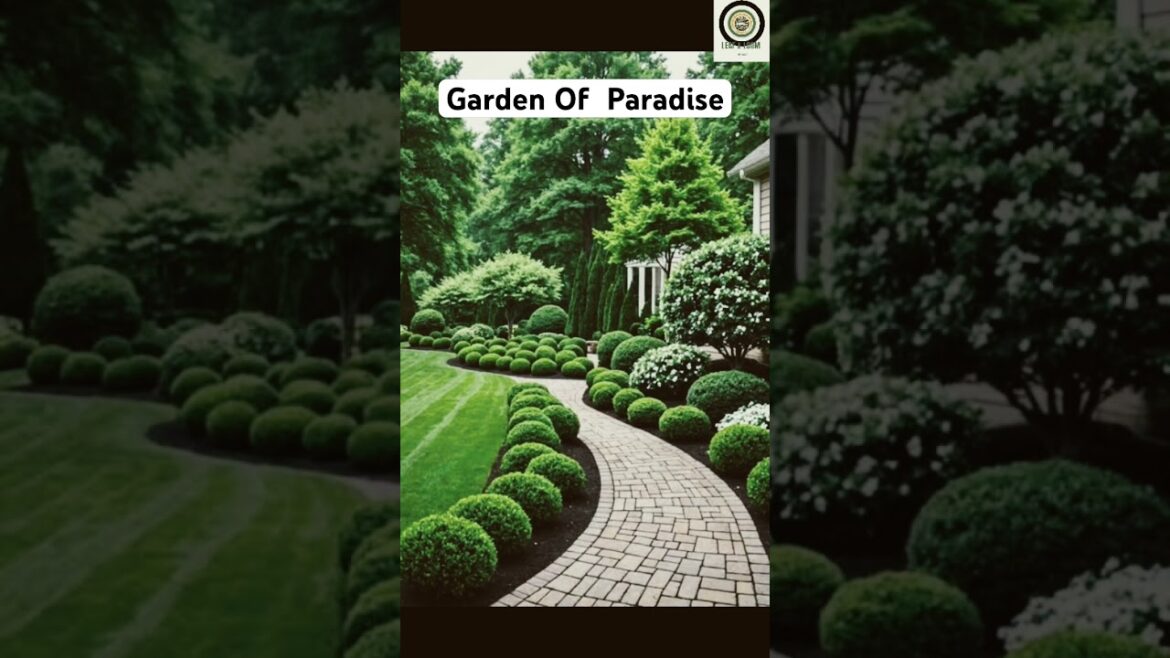 Garden Of Paradise | Unique Garden Design | @leaf.loom_byali Garden Of Paradise | Unique Garden Design | @leaf.loom_byali