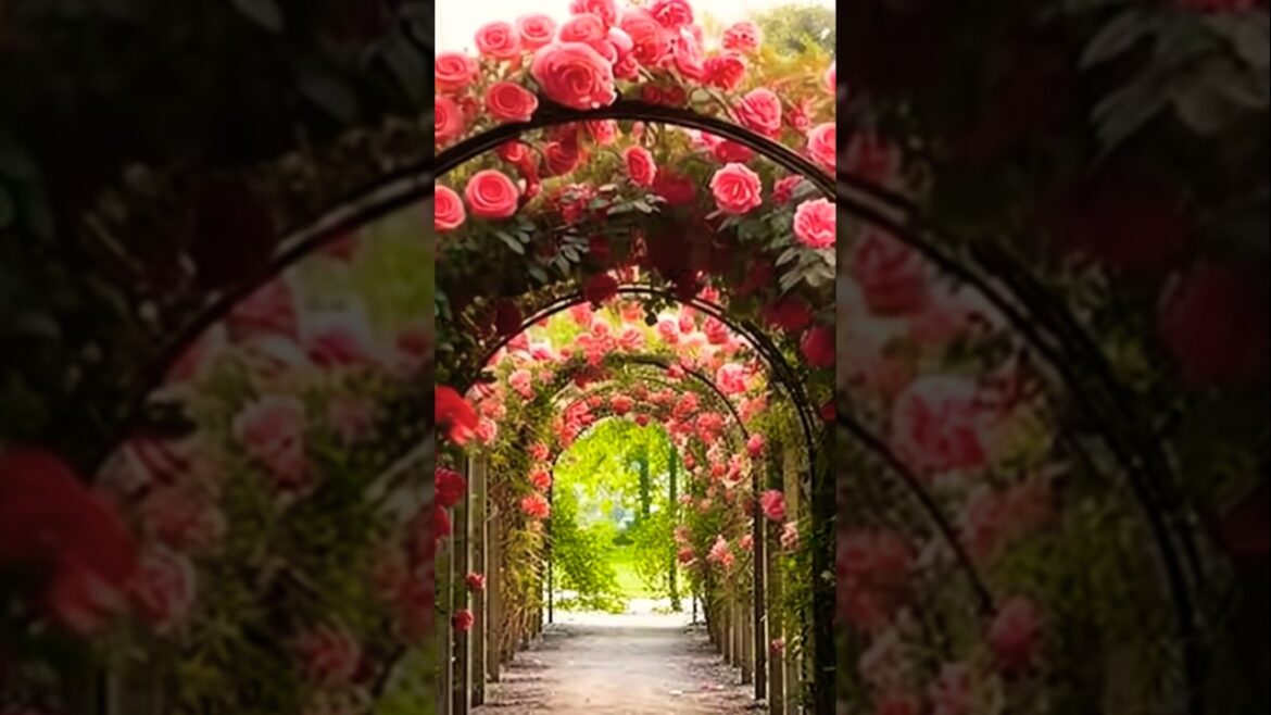 Garden Trends 🌴 🪻 🌱 🏡