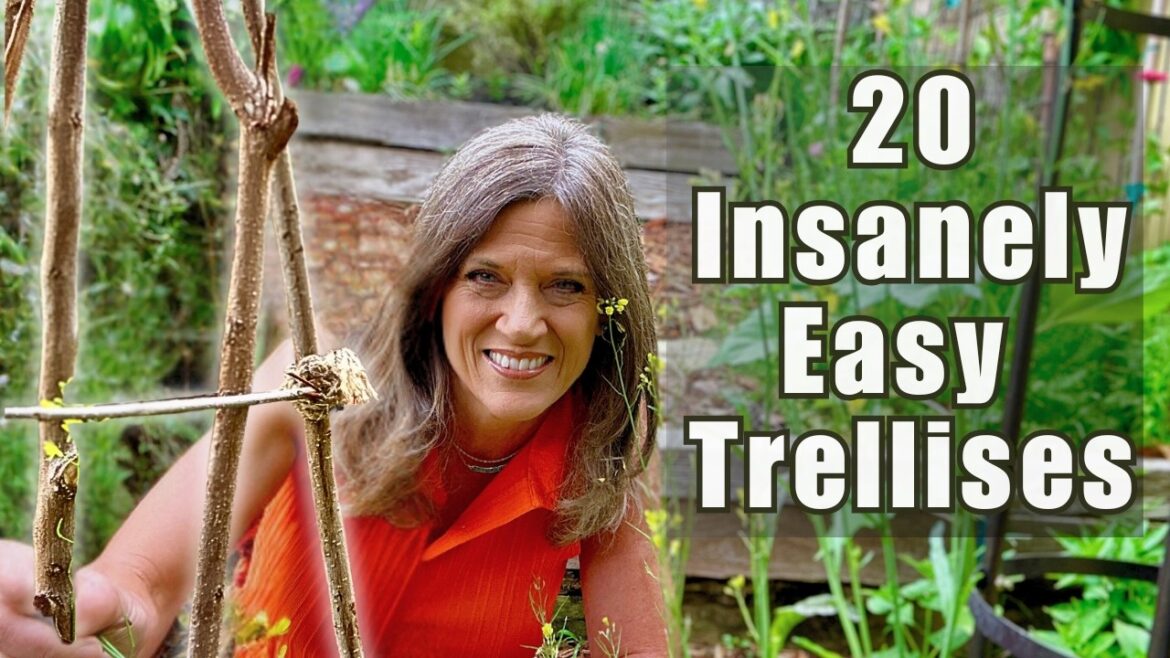 CaliKim: 20 Garden Trellises So Insanely Easy & Cheap, Anyone Can Do Them 20 Garden Trellises So Insanely Easy & Cheap, Anyone Can Do Them