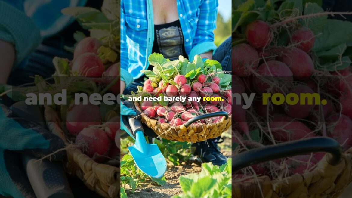 10 Easiest Vegetables to Grow in Pots (Perfect for Small Spaces!) #ContainerGardening #urbangarden