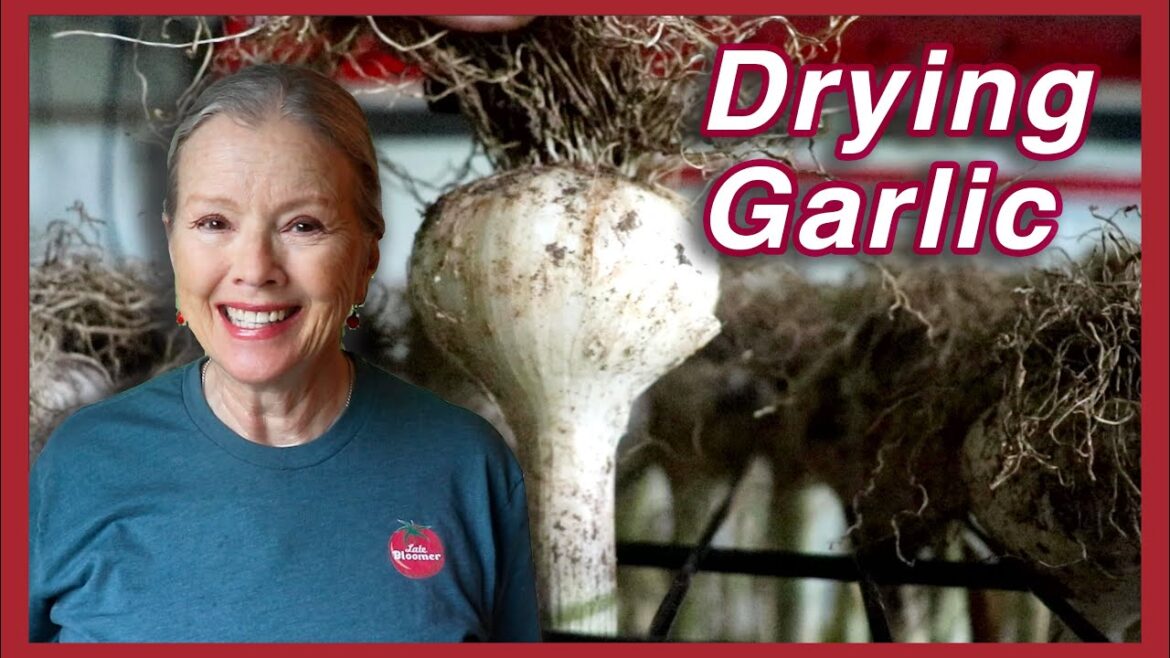 Try this EASY & COMPACT way to DRY GARLIC