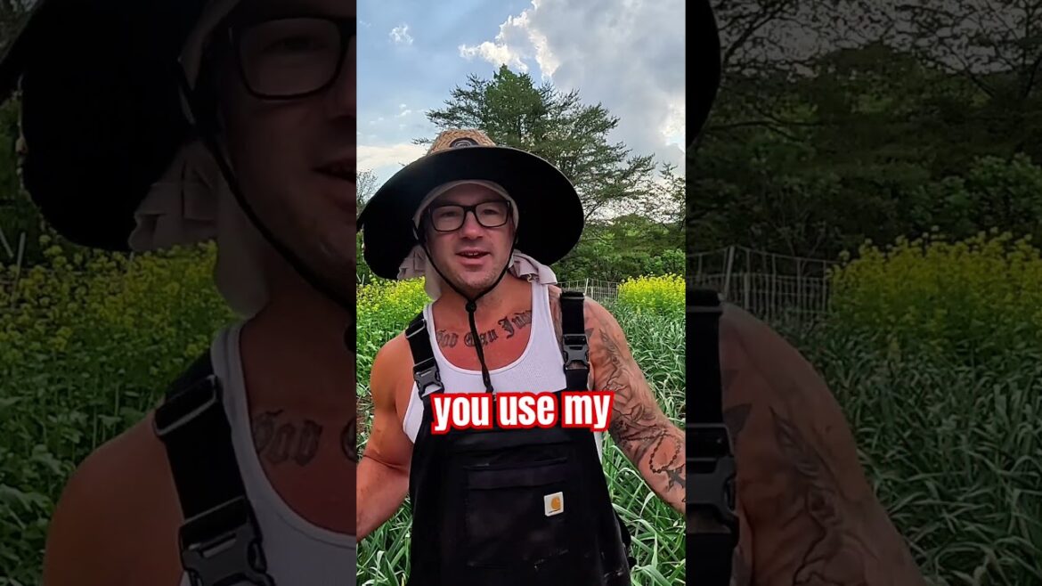 Epic Gardening Sent Me These Raised Beds! @epicgardening #EpicGardeningMemorialDaySale Epic Gardening Sent Me These Raised Beds! @epicgardening #EpicGardeningMemorialDaySale