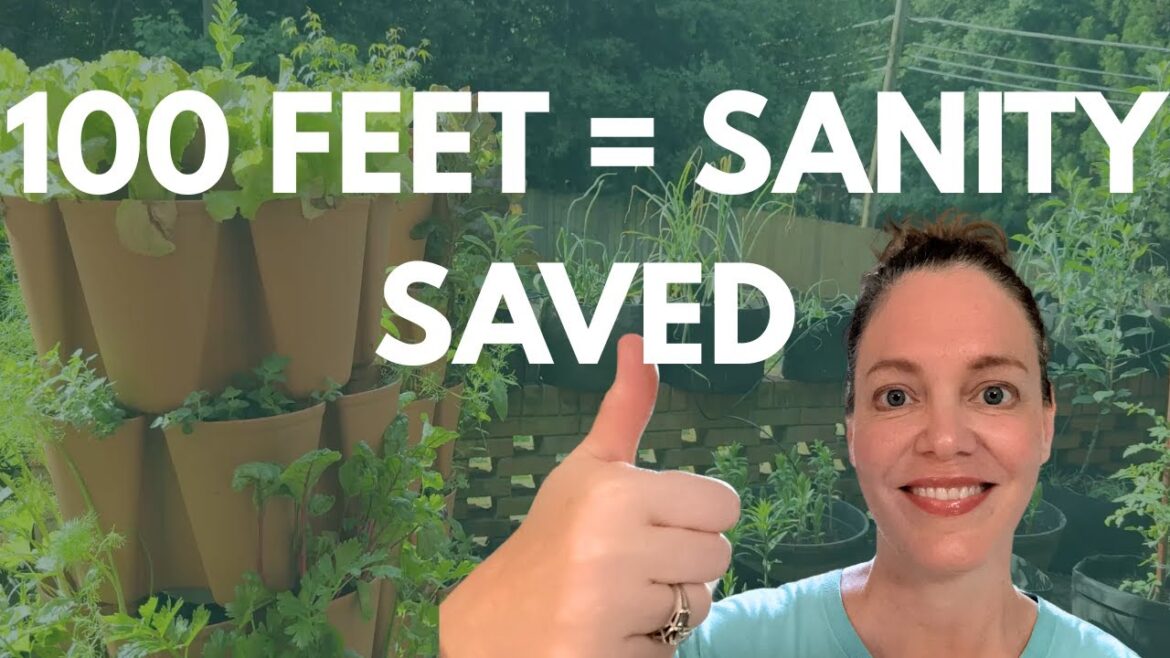 A 100 Square Foot Rescue Garden Can Change Your Life A 100 Square Foot Rescue Garden Can Change Your Life