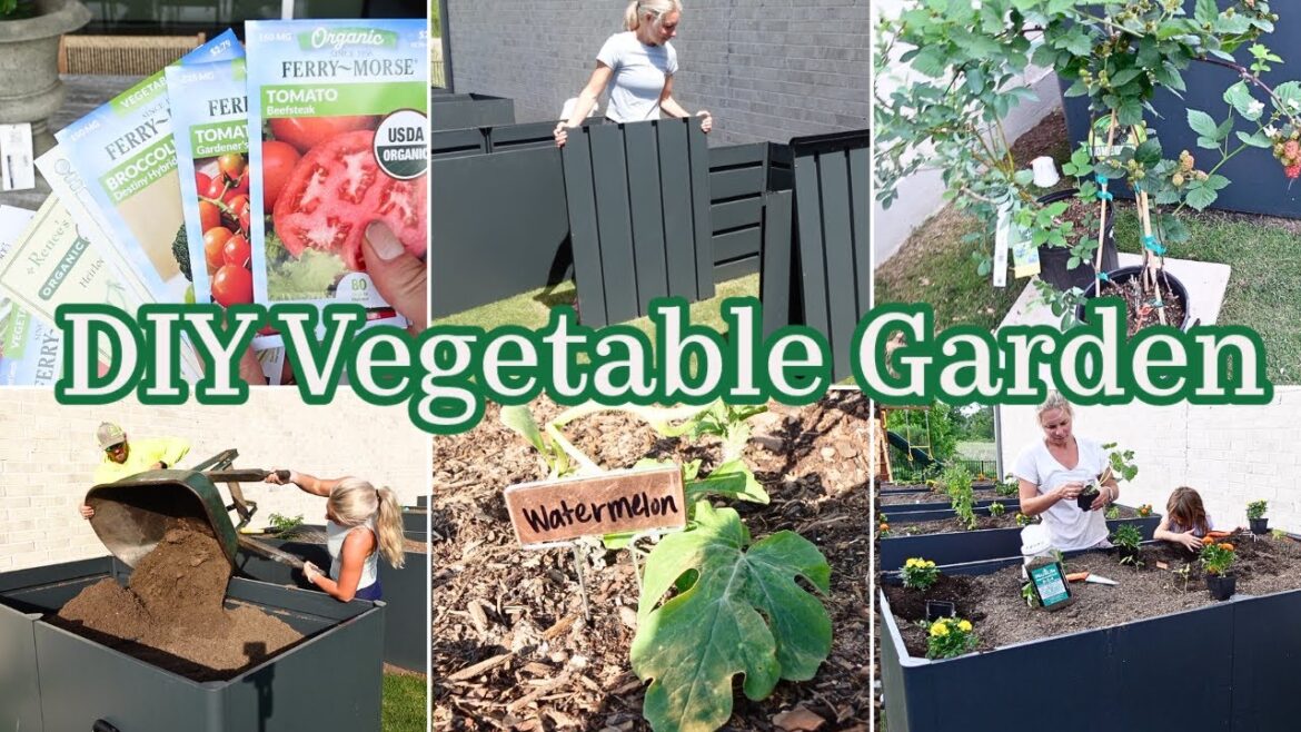 How To Create a Vegetable Garden / Beginner Gardening Tips / DIY Raised Garden Beds How To Create a Vegetable Garden / Beginner Gardening Tips / DIY Raised Garden Beds