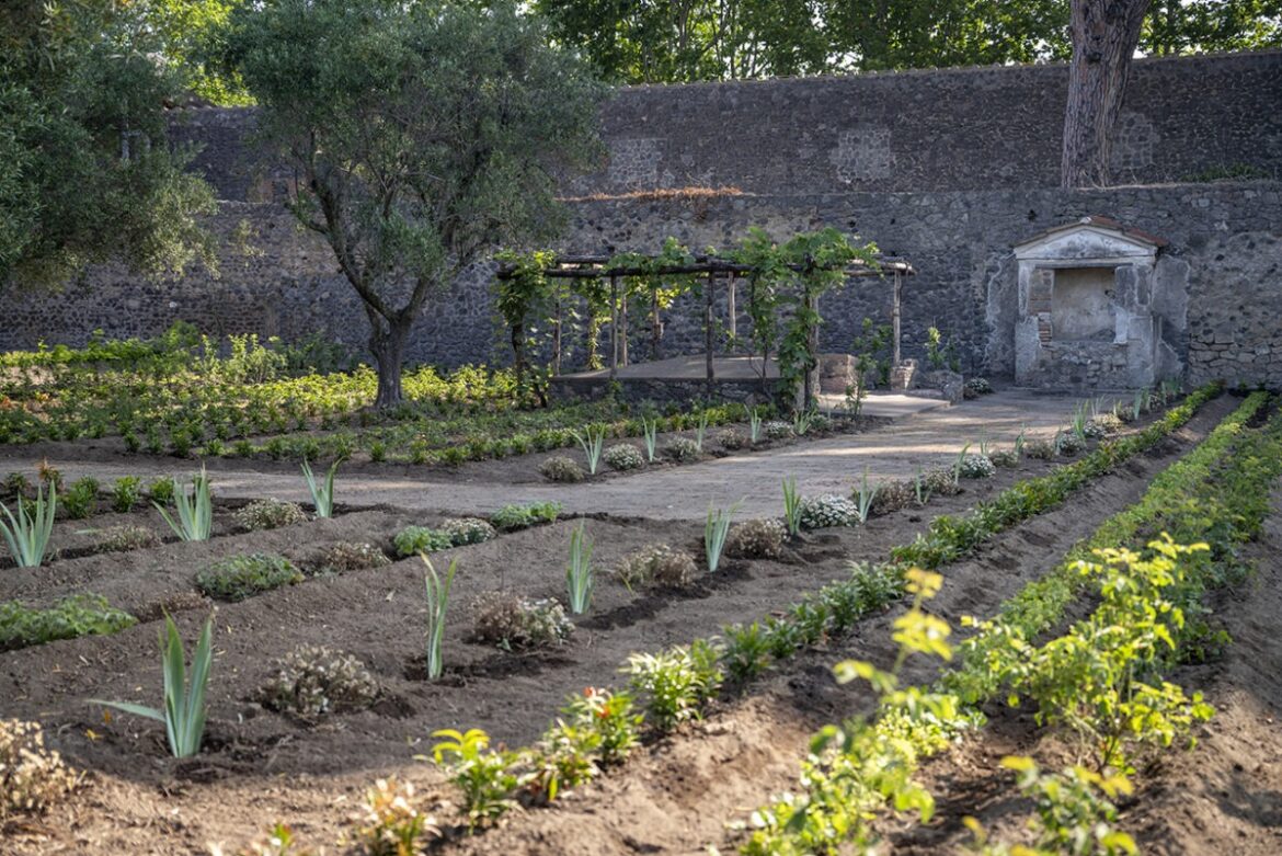 Pompeii, Hercules’ Garden House inaugurated. Philologically reconstructed garden Pompeii, Hercules' Garden House inaugurated. Philologically reconstructed garden