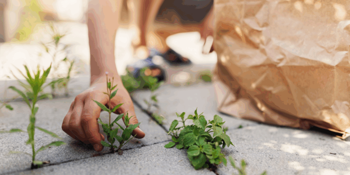 Britons warned against using popular tool to banish weeds Britons warned against using popular tool to banish weeds