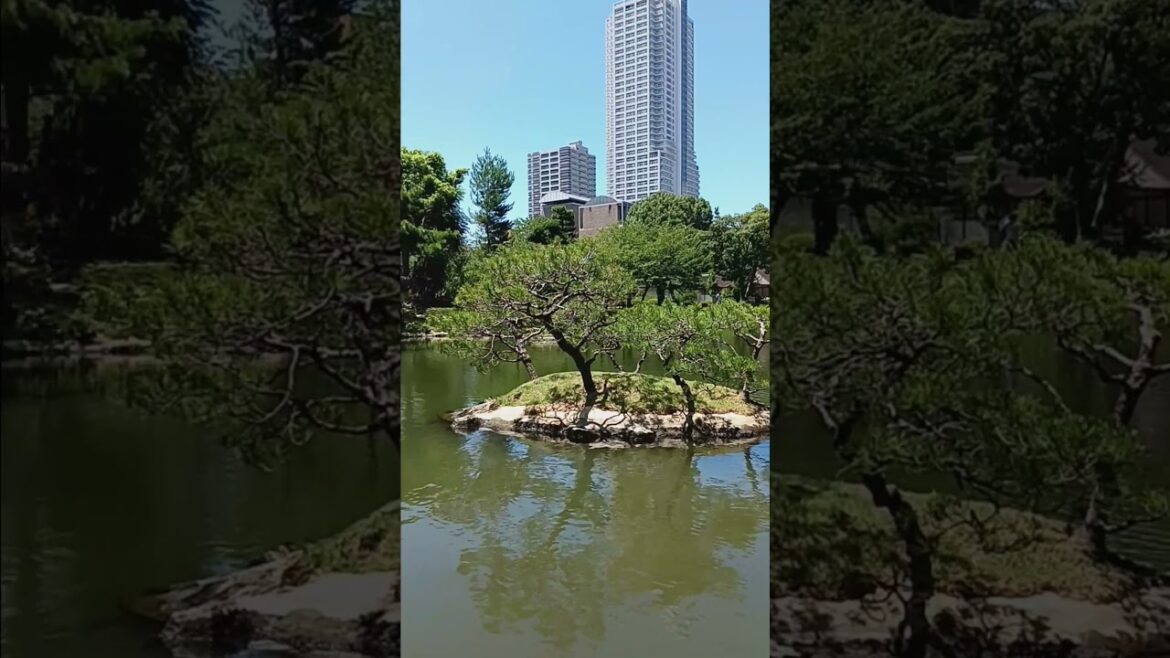 Shukkeien Garden Japan July 20240729 115512