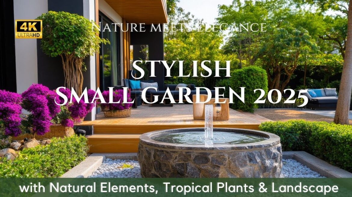 Stylish Small Garden 2025: Creative Design with Natural Elements, Tropical Plants, Landscaping Ideas