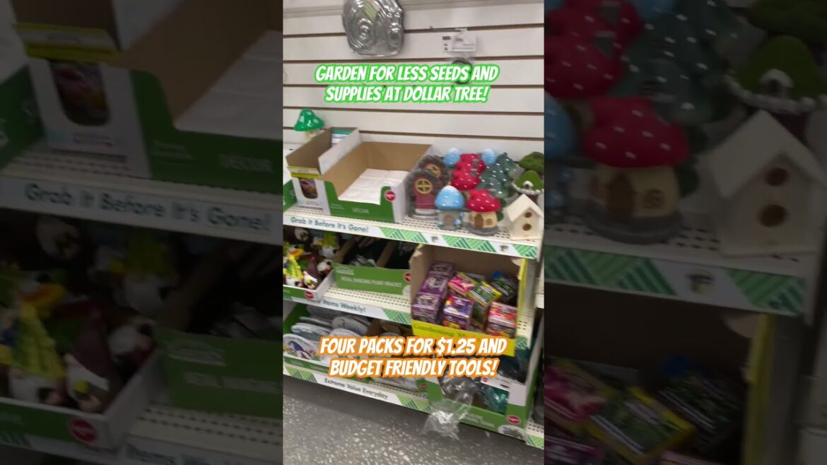 Garden for less seeds and supplies at Dollar tree get four packs of seeds for $1.25#dollartree Garden for less seeds and supplies at Dollar tree get four packs of seeds for $1.25#dollartree