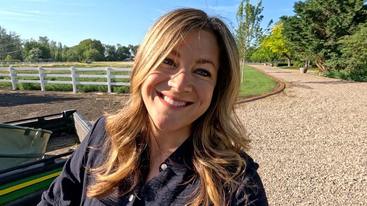 Garden Answer: Grass Update, Planting Buddleia & Boxwoods by the Hartley + Aaron’s New Fertilizer Spreader! 🥰🌿👌 Grass Update, Planting Buddleia & Boxwoods by the Hartley + Aaron’s New Fertilizer Spreader! 🥰🌿👌