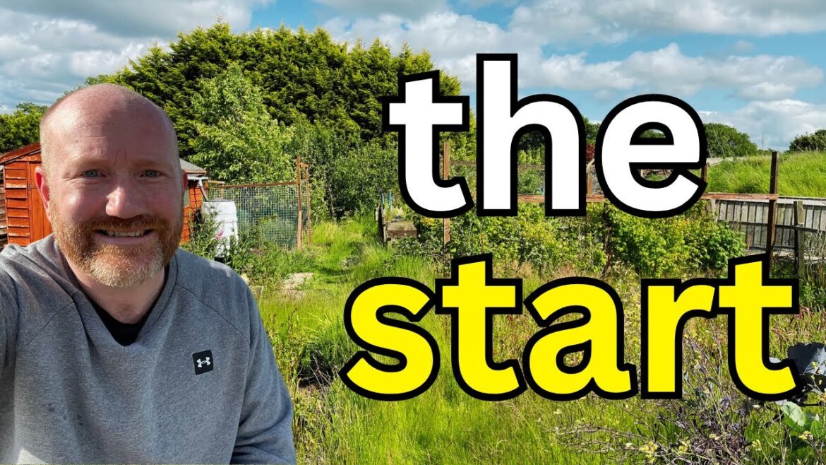 Starting My New Allotment | Clearing Weeds, Prepping Beds & Growing Plans in the Rain!