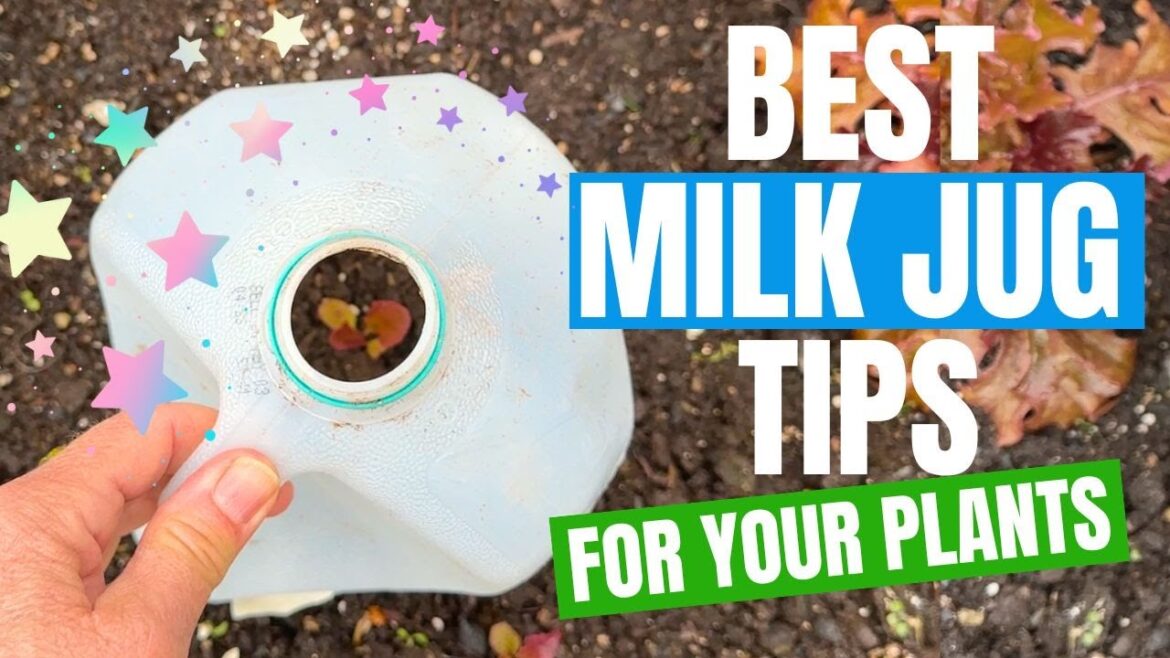 Quick Gardening Tip - Milk Jugs Tricks You Need To Try