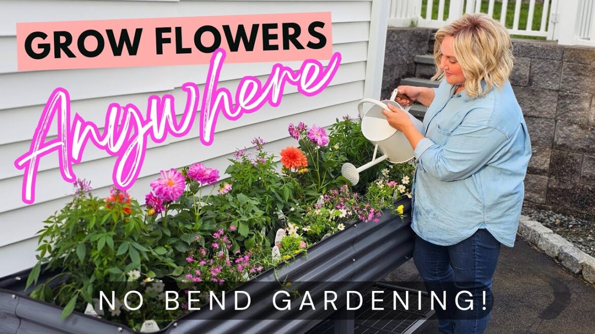 Grow Flowers & Veggies Anywhere with Container Gardening. Vego Elevated Garden Bed.
