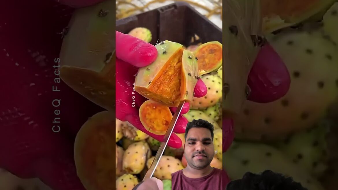 Chinese fruits #fruit #farming101 #facts #fruitcutting #viralvideo #planting #gardening Chinese fruits #fruit #farming101 #facts #fruitcutting #viralvideo #planting #gardening