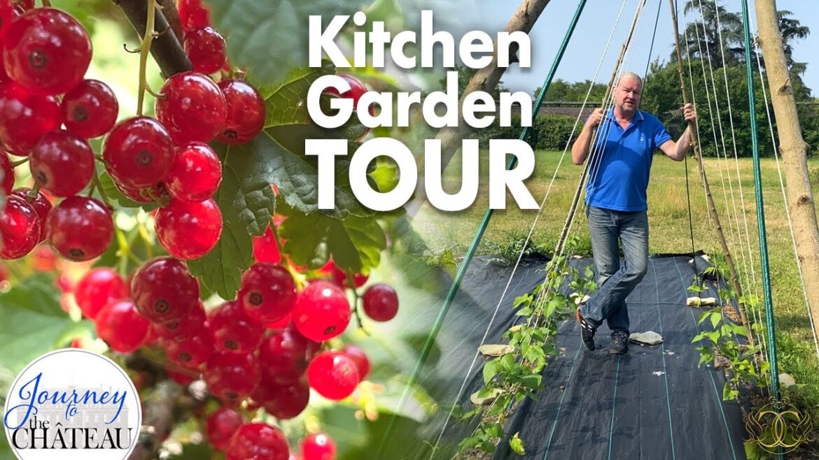 CHATEAU Kitchen Garden TOUR | First Harvest of the Season