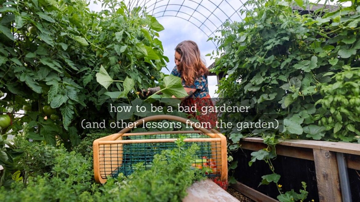 Roots and Refuge Farm: How to be a bad gardener (& other garden lessons) | VLOG How to be a bad gardener (& other garden lessons) | VLOG